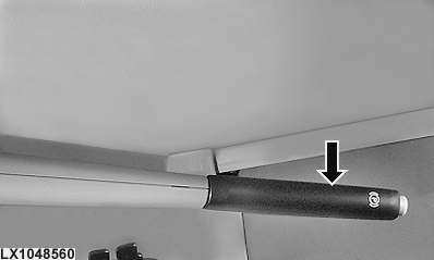 LX1048560