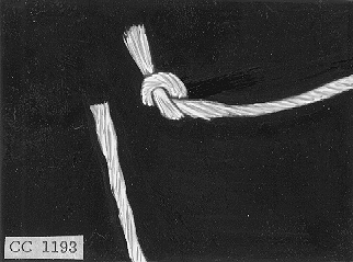 CC1193