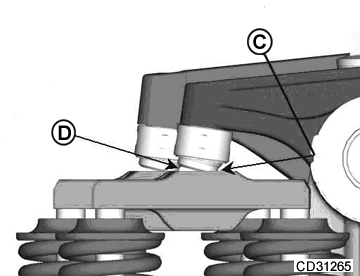 CD31265