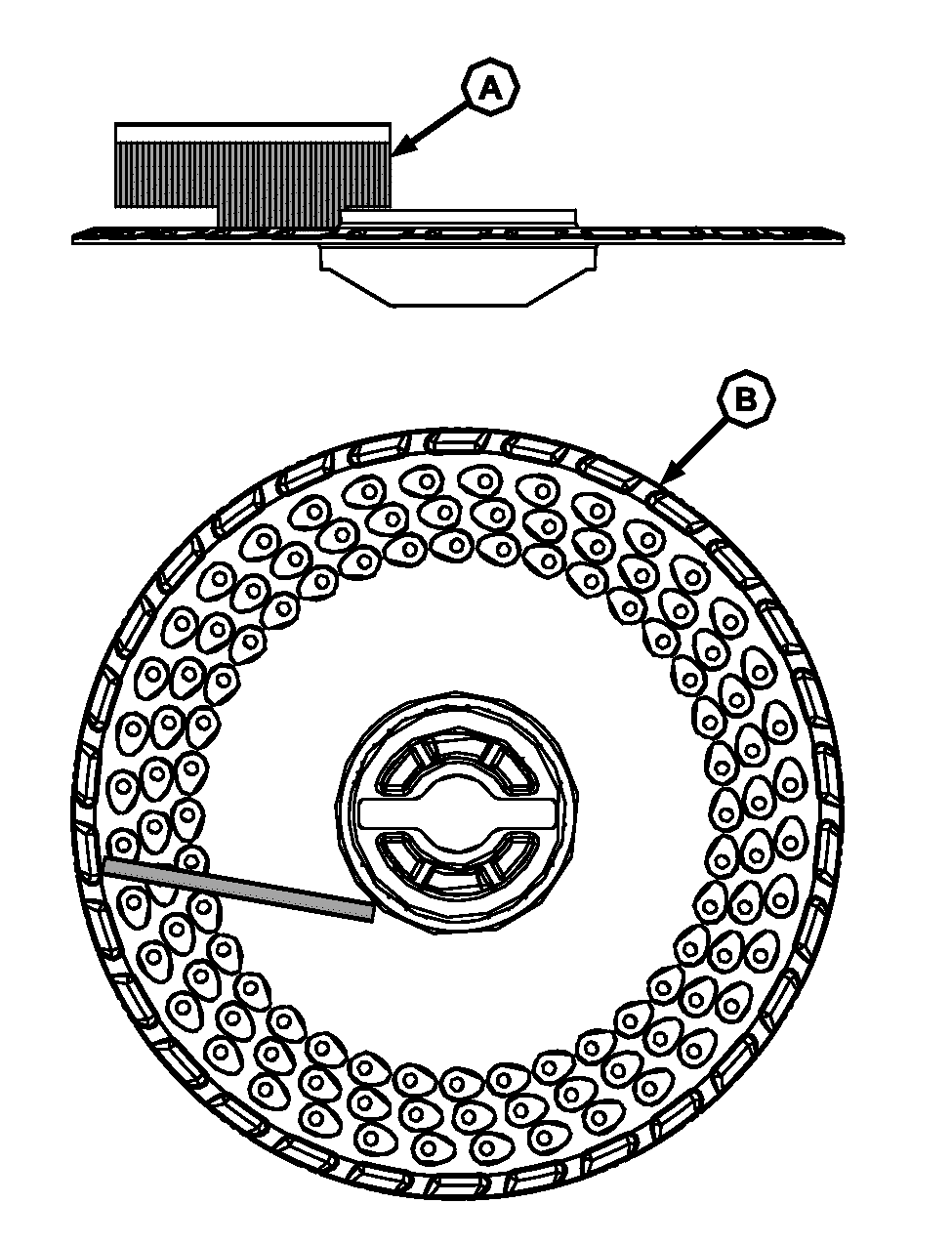 CQ289196