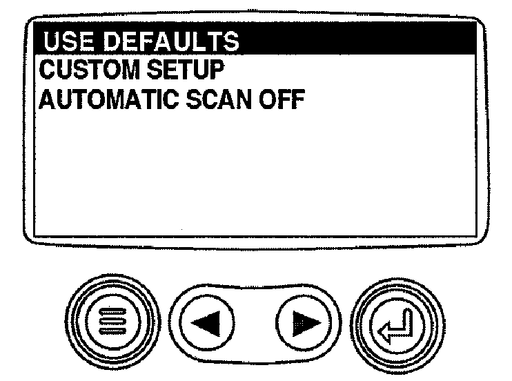 RG13196