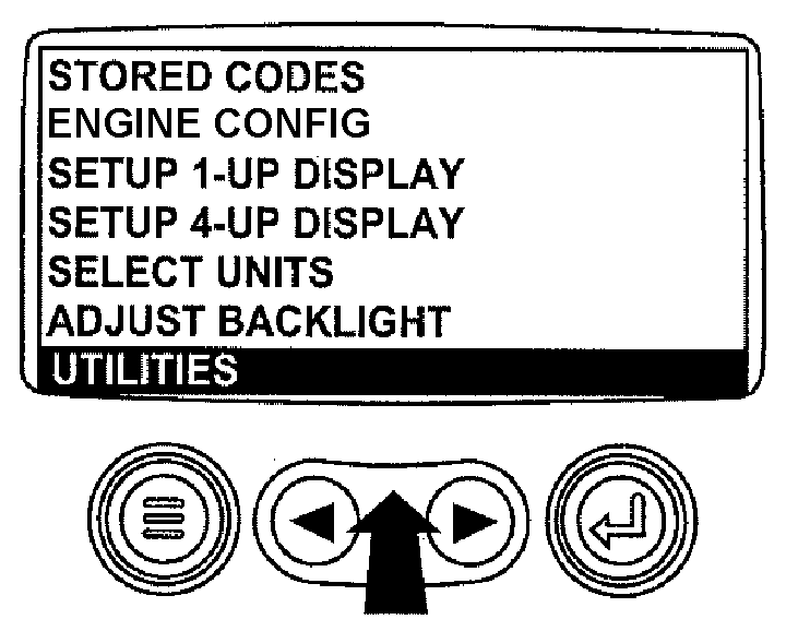 RG13234