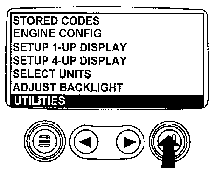 RG13237