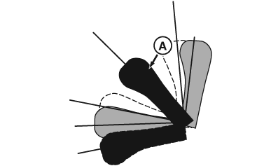 RXA0135070