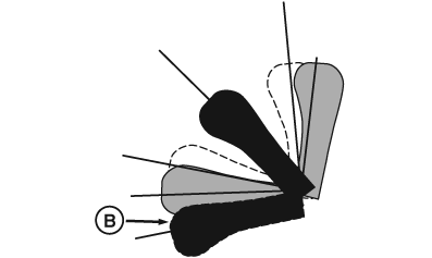 RXA0135073