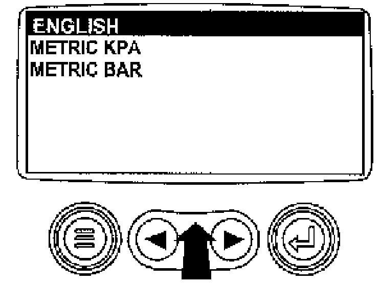 RG13190