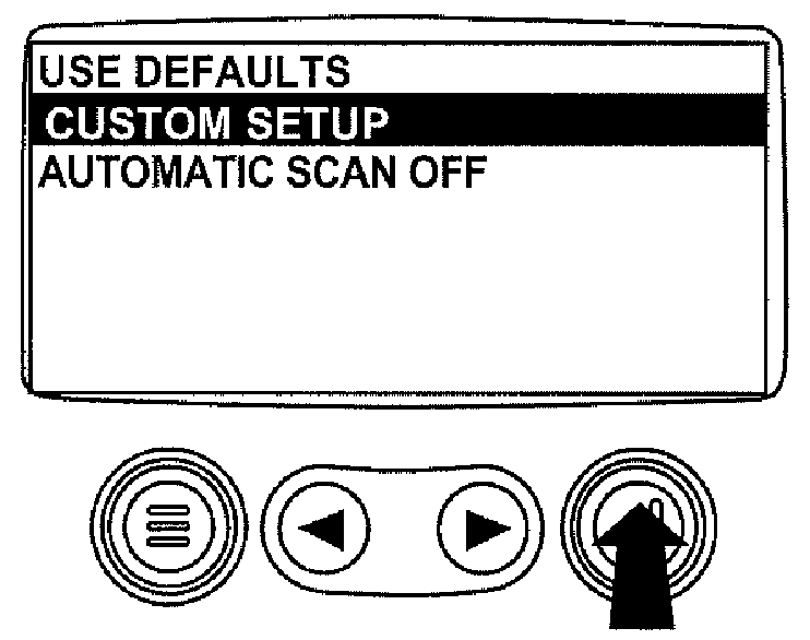 RG13199