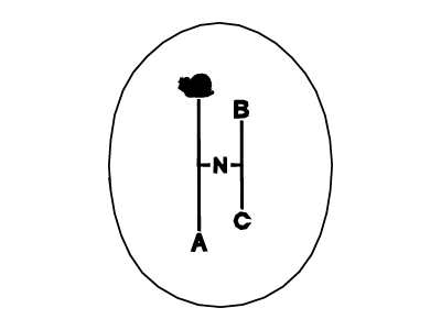 PY14435