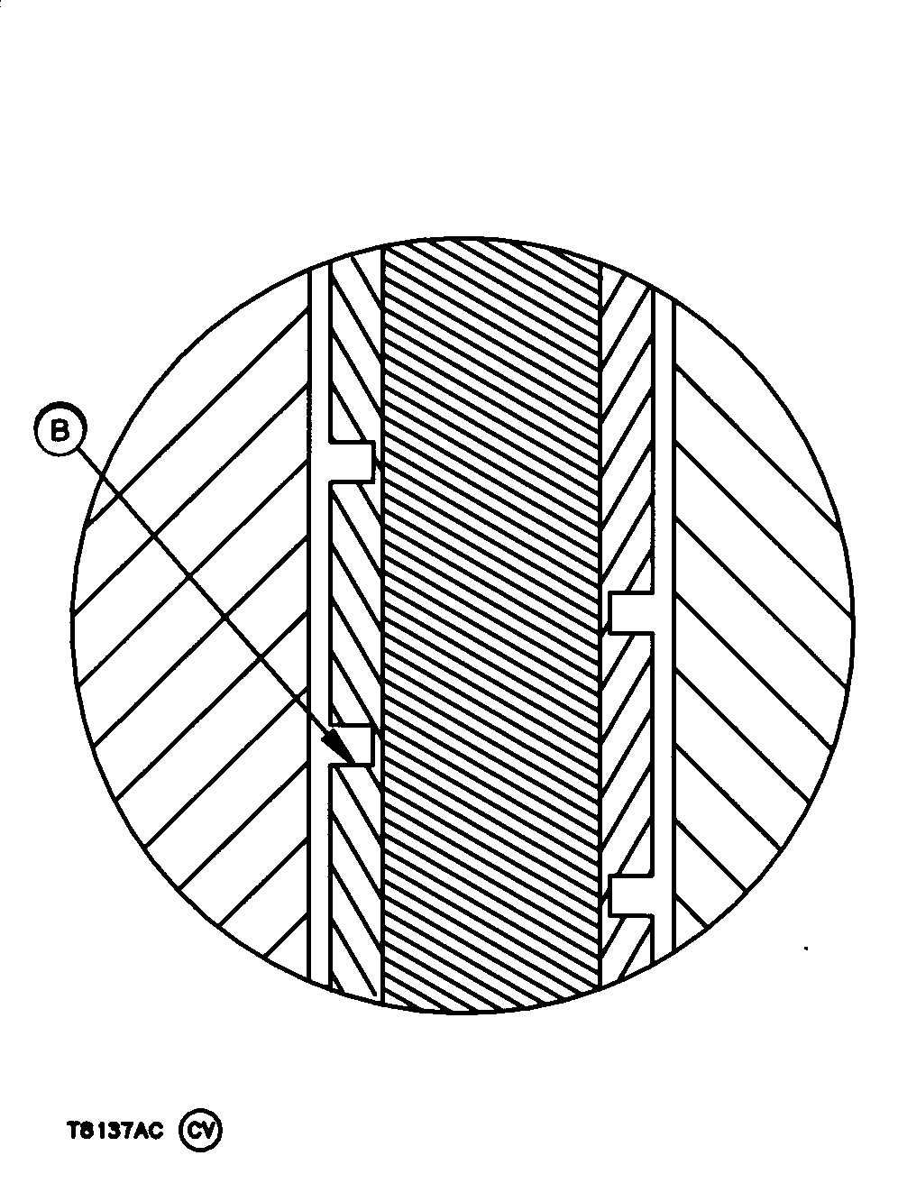 T8137AC